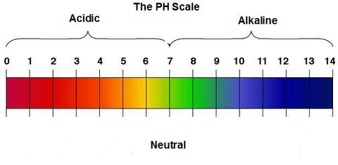 水素イオン濃度pH