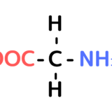 中性アミノ酸の液性は中性（pH=7）？